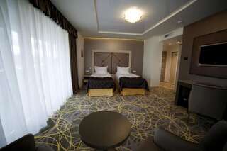 Отель Exclusive Hotel & More Сибиу Улучшенный двухместный номер с 1 кроватью или 2 отдельными кроватями-19